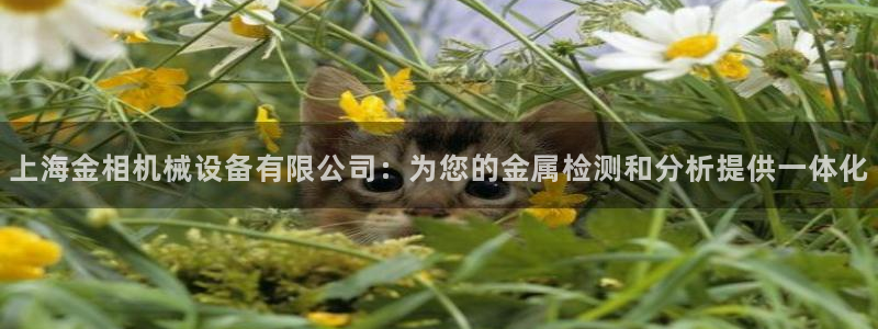 j9九游会老哥俱乐部官网