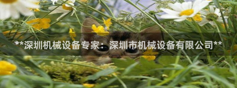 九游会网址是多少
