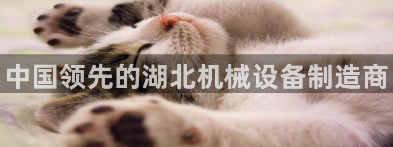 九游会官
