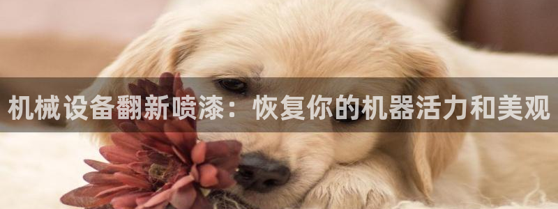 九游会老哥俱乐部交流社区