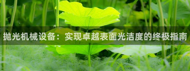 九游会网址九
