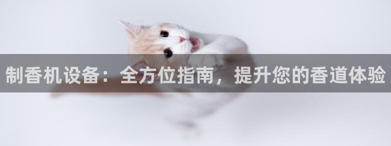 九游会进不去了