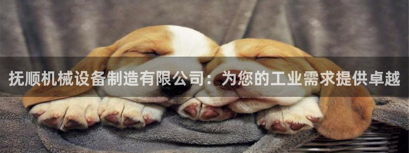 ag亚洲国际游戏九游会
