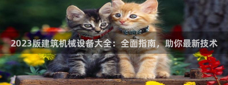 九游会黑钱吗