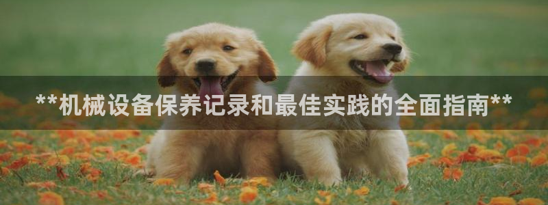 九游会官网进入