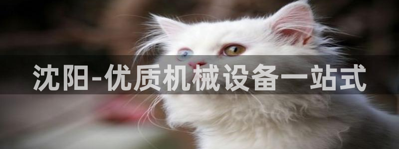 j9九游会安卓版下载