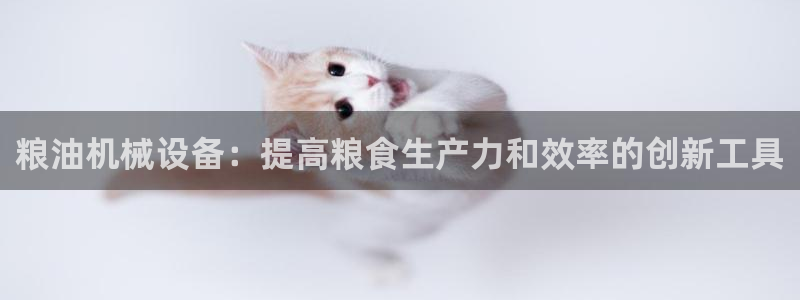 九游会网址在线玩
