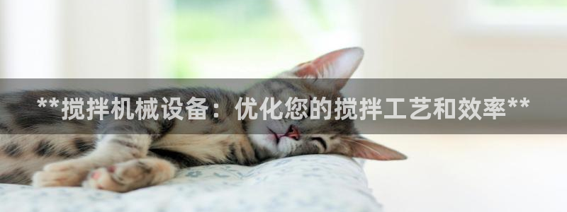 九游会网址是什么