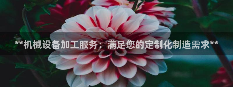 九游会官方正版下载