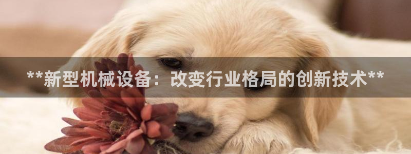 j9九游会在线登录