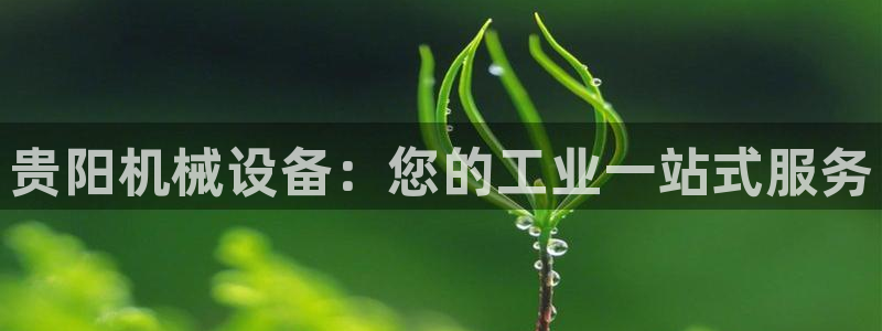 九游会注册网址