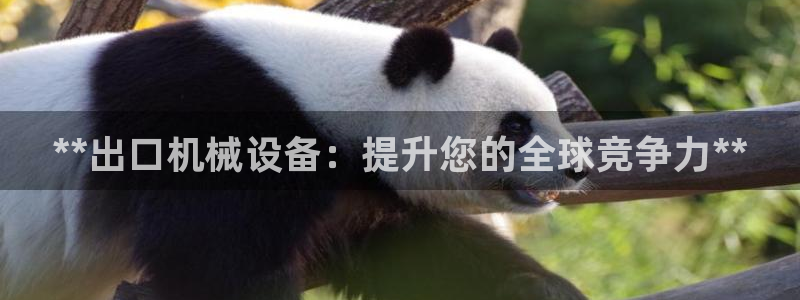 九游会账号登录网址