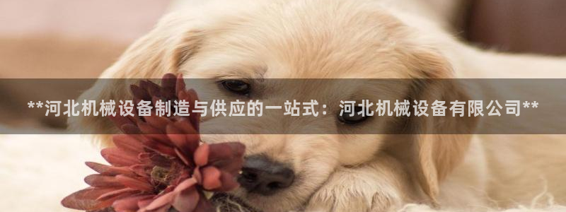 九游会ag网址大全专业版