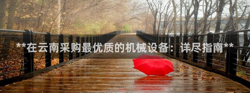 九游会数字货币