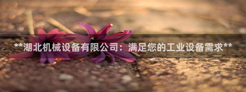 九游会平台登录不上