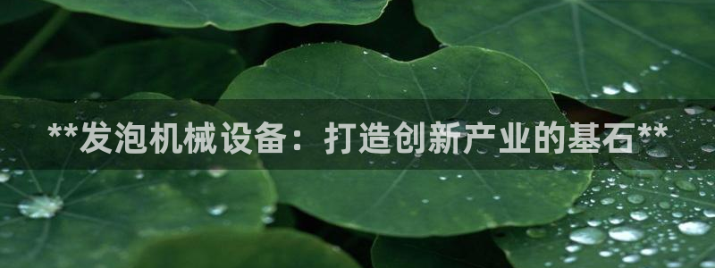 j9九游会老哥俱乐部客服
