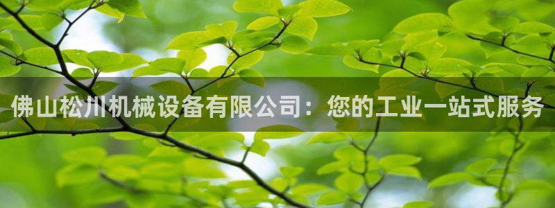 九游会平台稳定吗