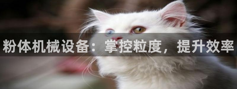 usdt九游会老哥俱乐部