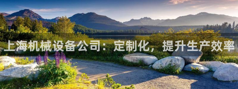 九游会AG在线平台
