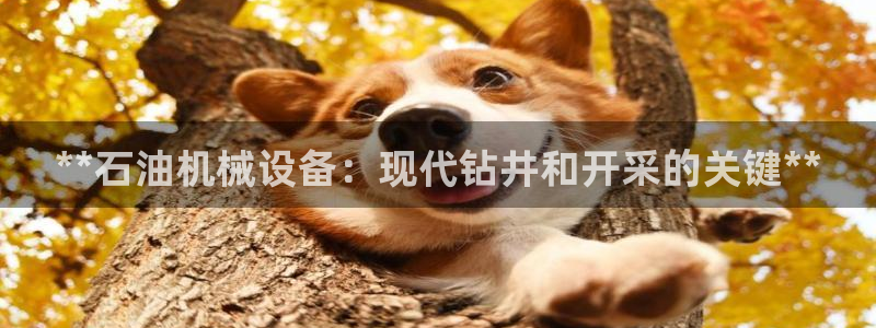 九游会官网入口ag亚洲