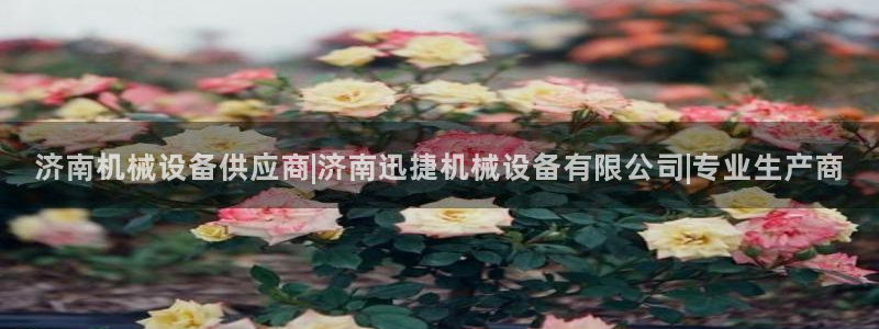 j9九游会老哥俱乐部官网