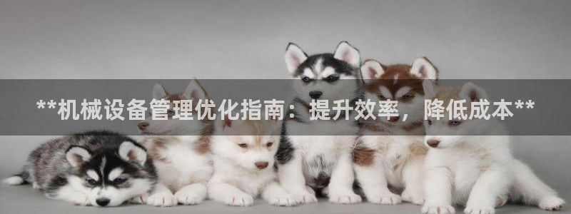 九游会软件