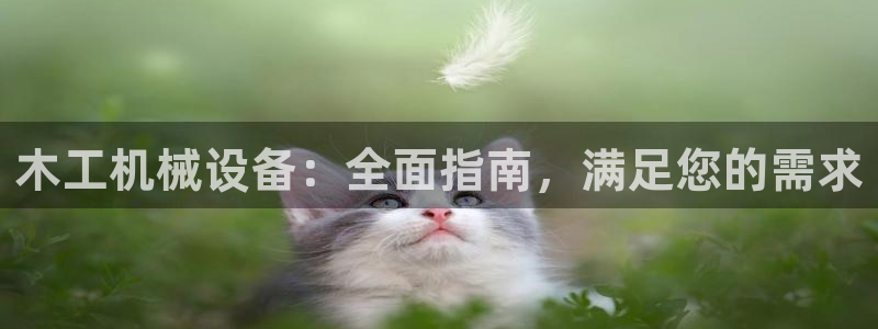 九游会集团菲律宾