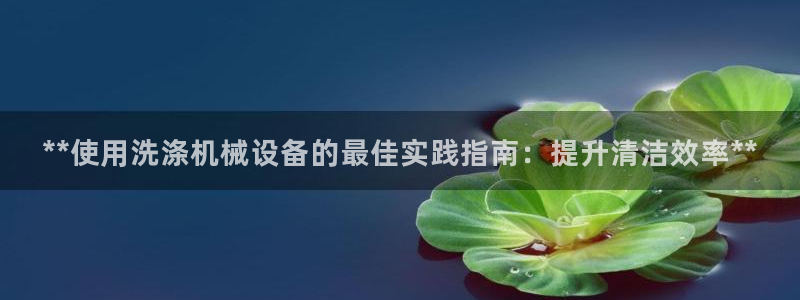 九游会J9官网入口