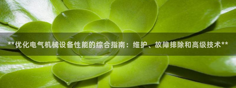 九游会 ag