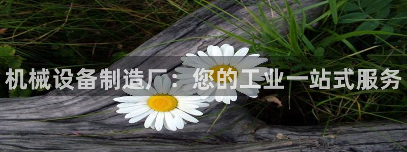 九游会j9全站平台