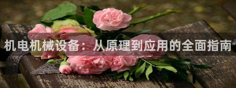 j9九游会vip
