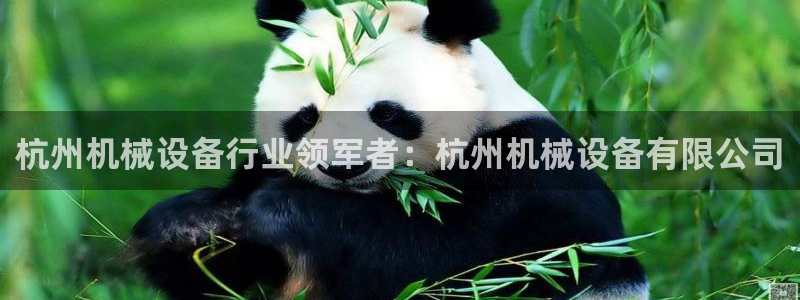 九游会老哥俱乐部必备的交流社区