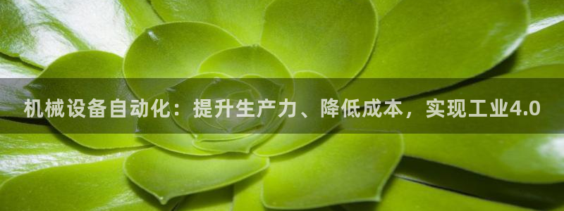 九游会可以提现吗