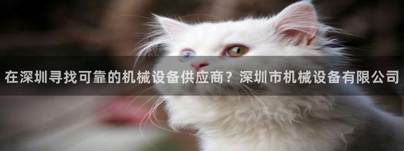 ag九游会vip8