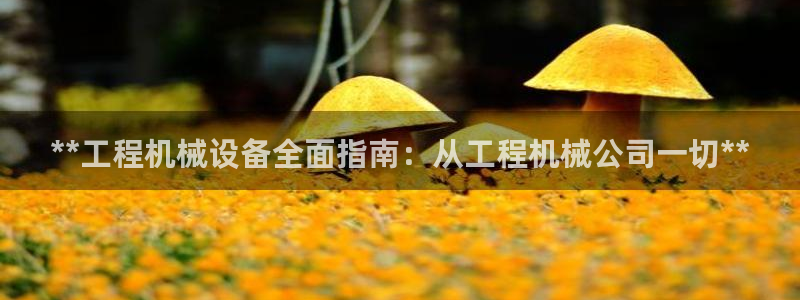 九游会网站网