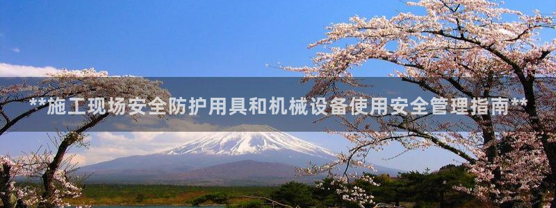 九游会agapp