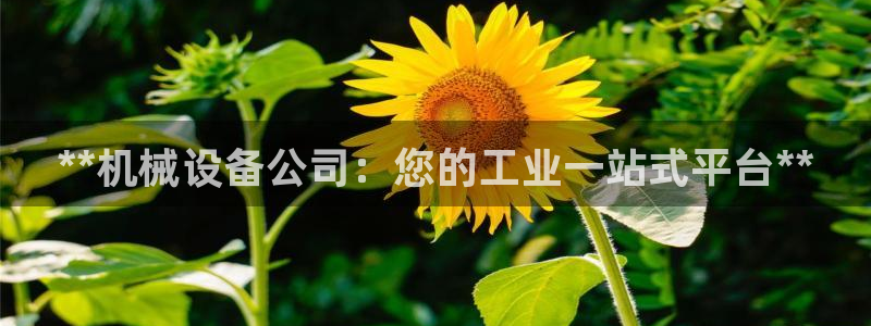 九游会平台稳定吗