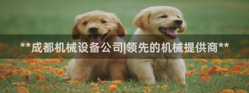 九游会贴吧