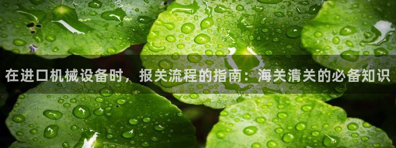 九游会视讯,九游会视讯官网