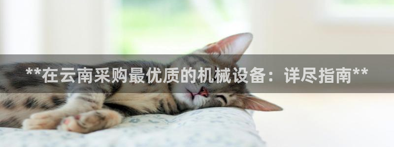 ag九游会老哥俱乐部