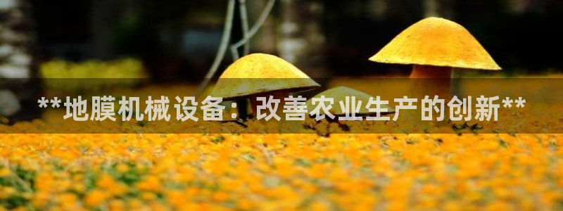 九游会平台网址