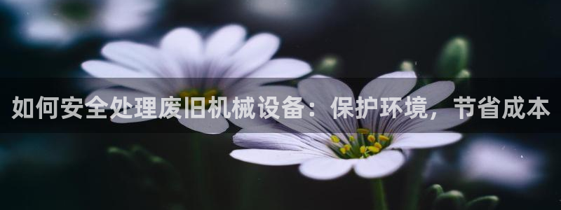 九游会平台王一博泰国