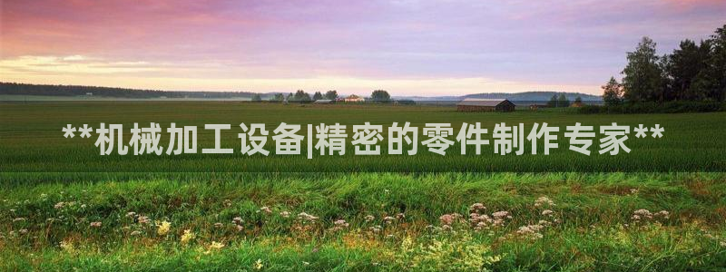九游会官方选网址是j9.cm