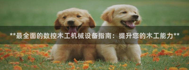 九游会中国官方网站