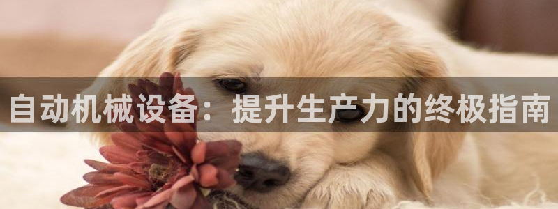 九游会官网开会