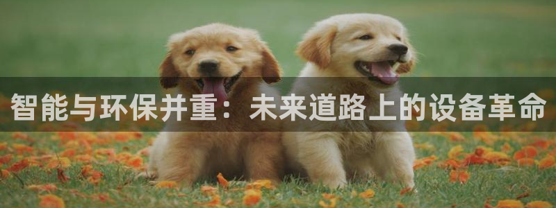 九游会ag私享