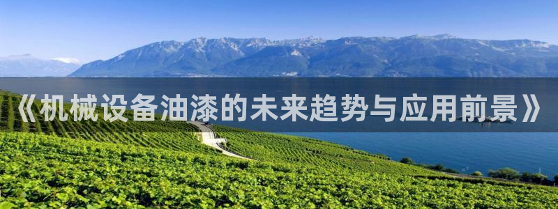 九游会集团货币