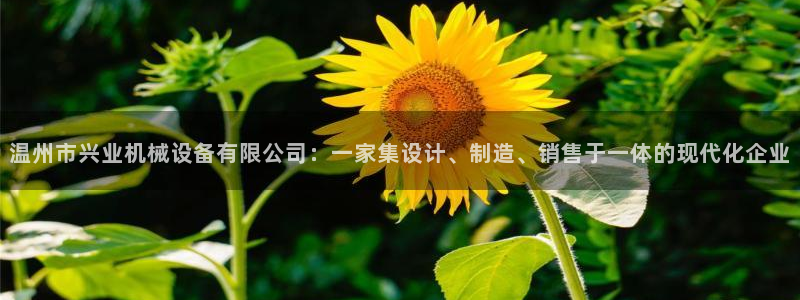 九游会游戏平台