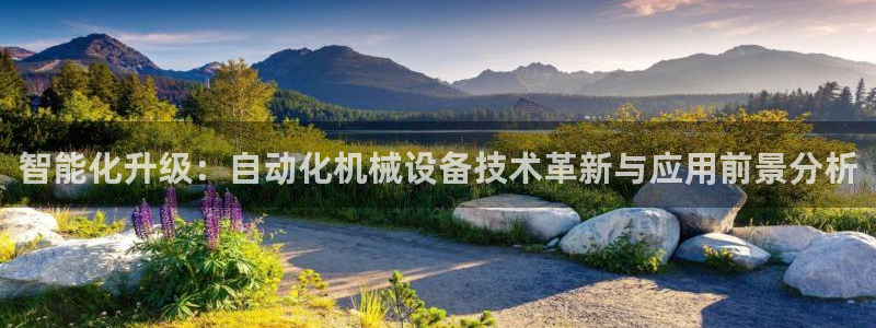 九游会AG在线平台