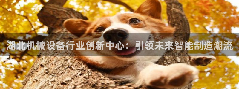 九游会app下载版官网正版